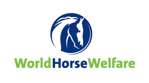 World Horse Welfare